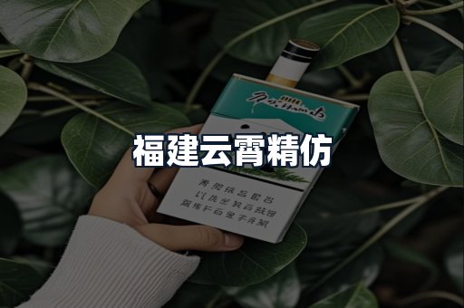 福建云霄精仿